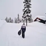 The Lookout At