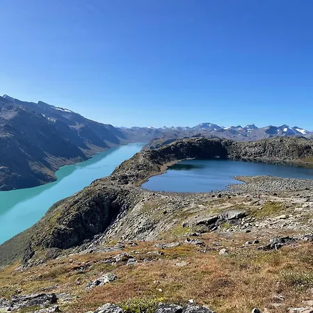 The Lookout At *