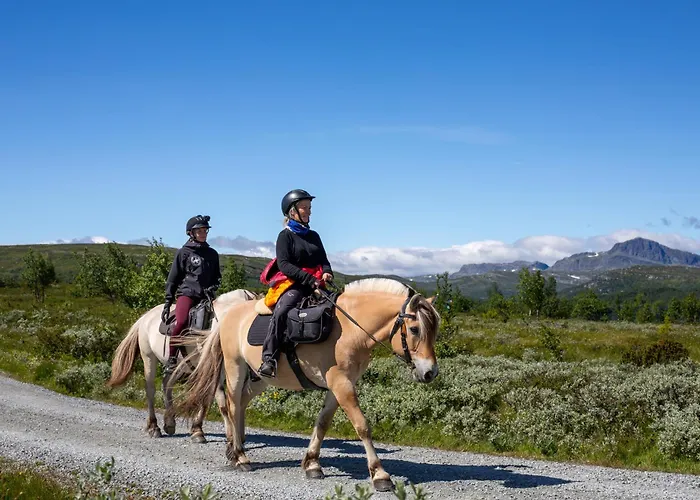 The Lookout At * Beitostolen