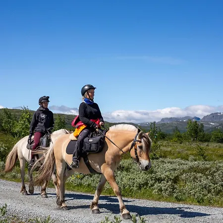 The Lookout At * Beitostolen