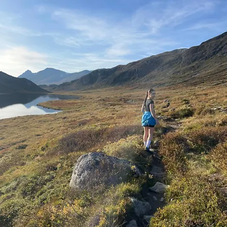 度假居 The Lookout At *