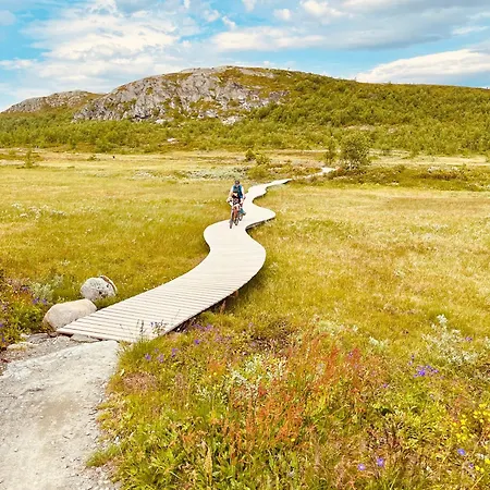 The Lookout At 度假居 Beitostolen