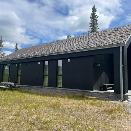 度假居 The Lookout At Beitostolen