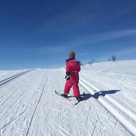 The Lookout At Beitostolen