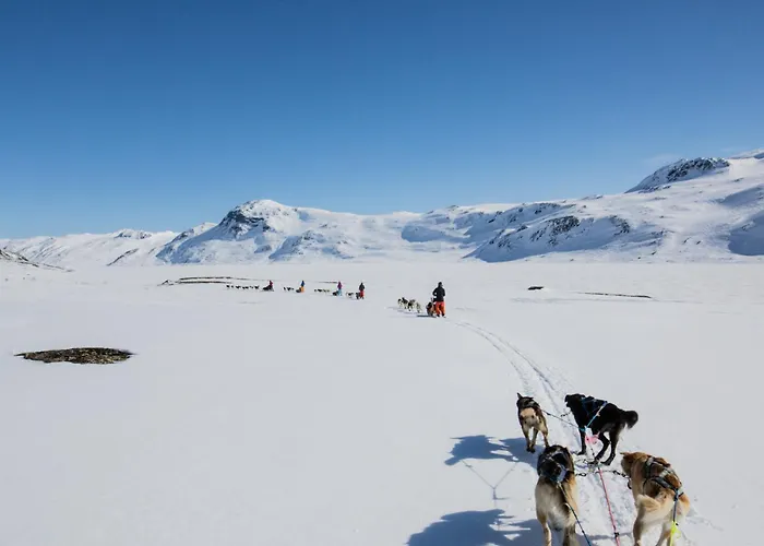The Lookout At Дом отдыха Beitostolen